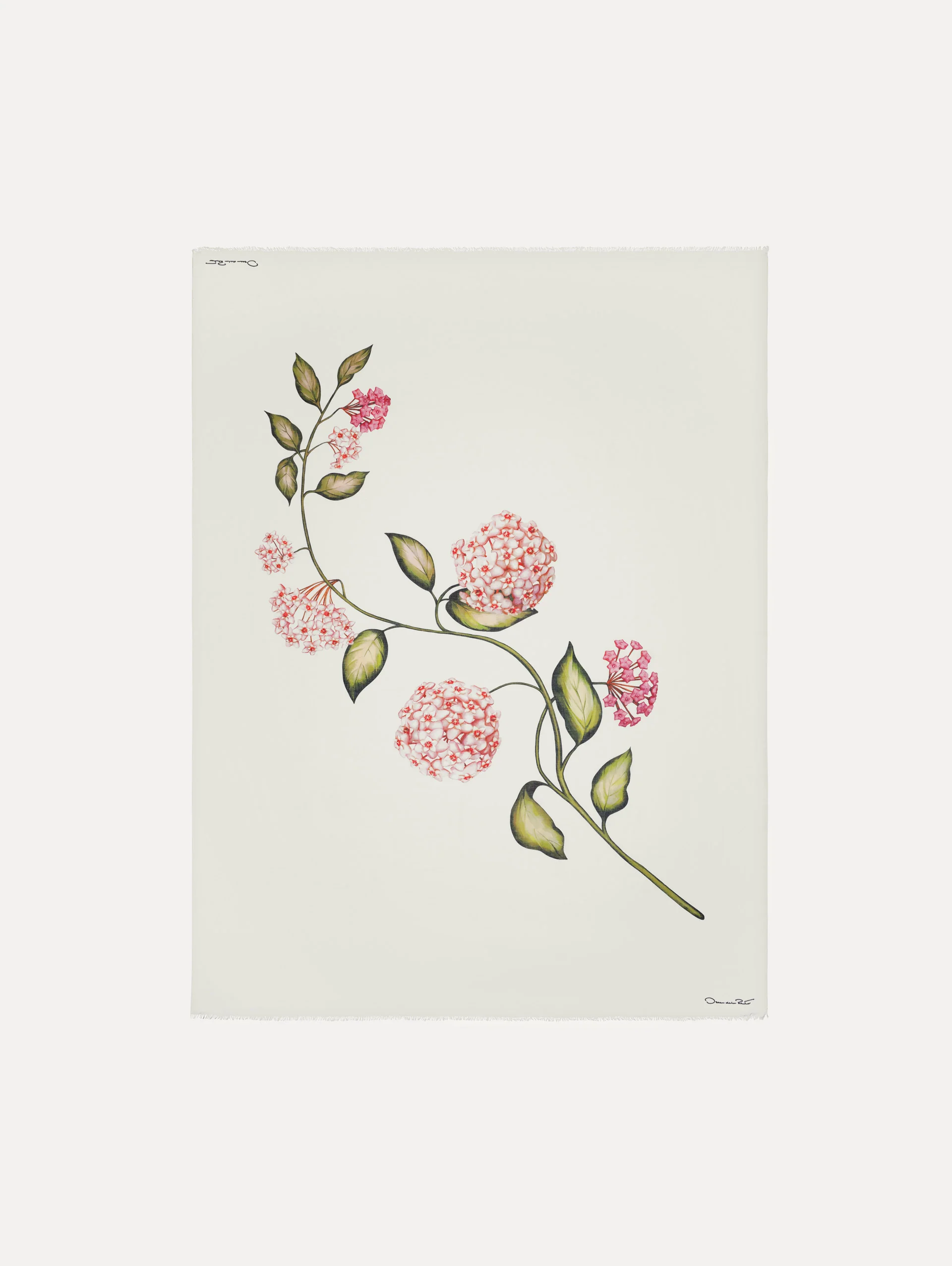 Porcelain Flower Modal Cashmere Scarf - Image 3